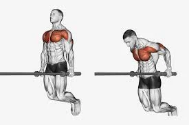 Chest dip