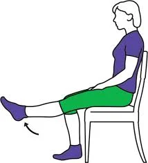 Sitting leg lifts