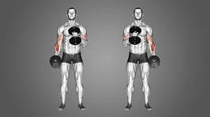 Cross-Body Hammer Curl