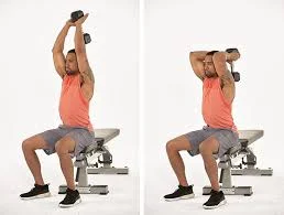 Overhead Triceps Extension
