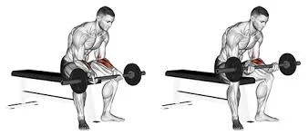 Palms-up-wrist curl