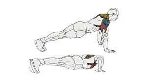 Scapular push-ups