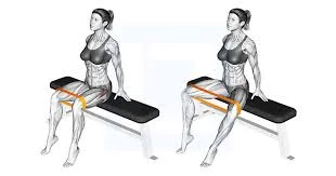Seated hip abduction with resistance band