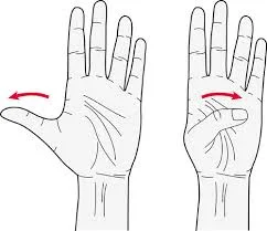 Thumb stretch