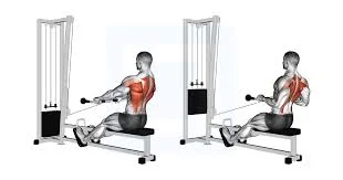 Low Cable Row