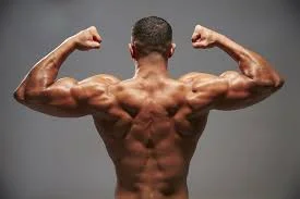 Teres Muscle Exercises