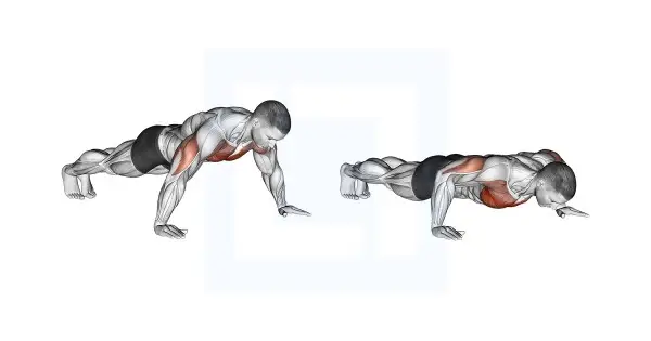 wide-hand-push-up