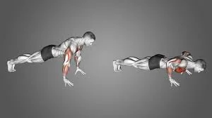 fingertip push-up