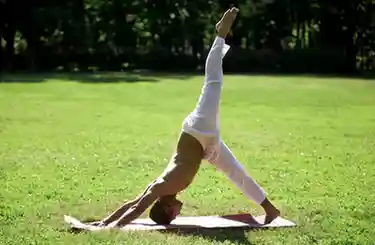 Eka Pada Adho Mukha Svanasana