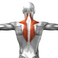 Trapezius exercise