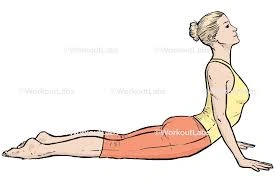 Bhujangasana