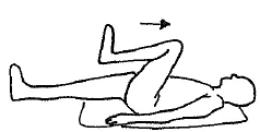 Hip and Knee Flexion