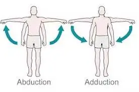 Shoulder Abduction and Adduction