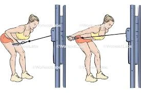 Triceps Kickbacks with Cables