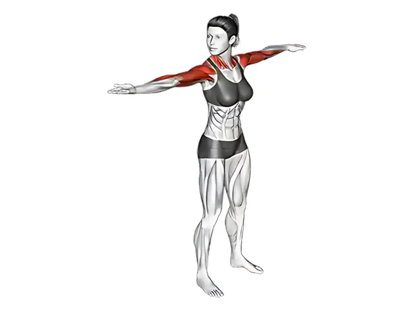 Wringing the Shoulders