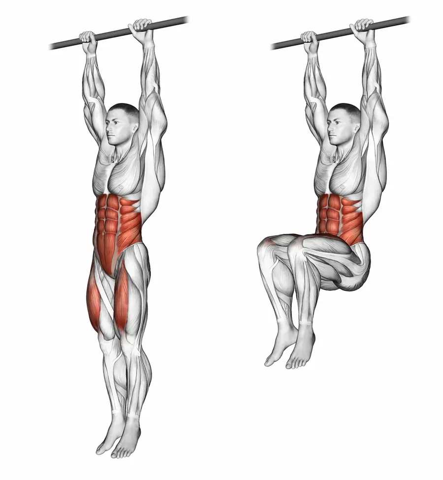 hanging leg raise