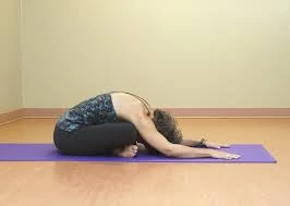 Adho Mukha Sukhasana 