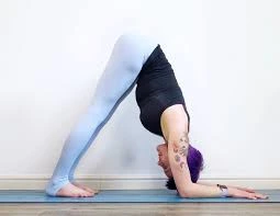 Ardha Mayurasana