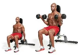 Seated Biceps Curl