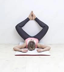 Butterfly Variation