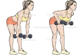 Dumbbell bent over row