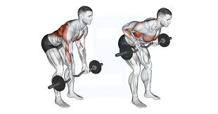 Reverse grip bent over row