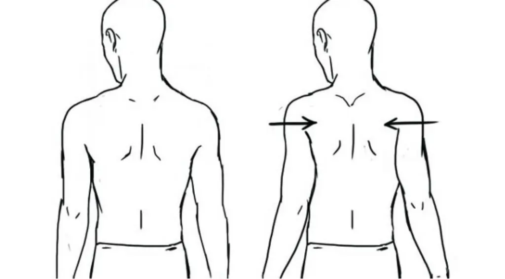 Shoulder Shrugs and Scapular Retraction