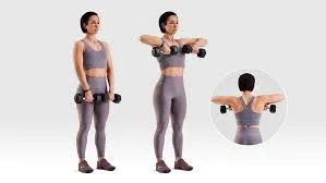 Dumbbell Upright Row