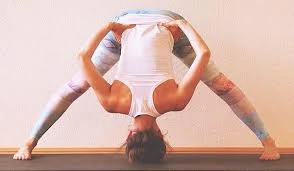 Prasarita Padottanasana B