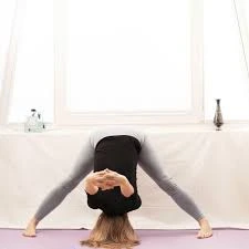 Prasarita Padottanasana C