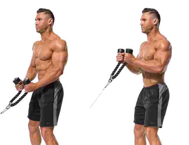 Rope hammer curl