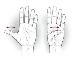 Thumb flexion