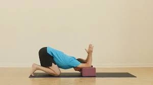 Forearms-on-Blocks Puppy Pose