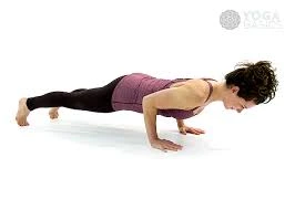 Four Limbed Staff Pose
