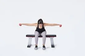 Seated Reverse Fly