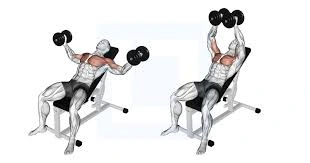Incline bench dumbbell chest fly