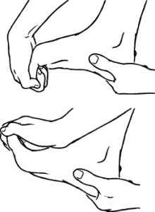 Toes Rotation Exercise Best Ankle Range of Motion Exercises for Mobility & Recovery