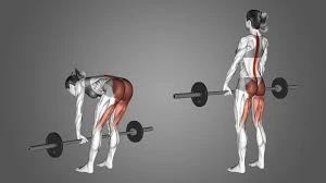 Stiff-Leg Deadlifts