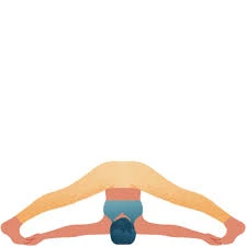 Supta Konasana