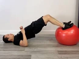 Bridge with Hamstring Curl Exercise