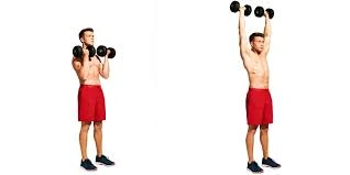 Standing Arnold Press