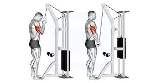 One-Armed Tricep Pushdowns
