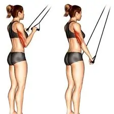 Resistance Band Tricep Pushdowns