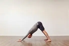 Adho Mukha Svanasana