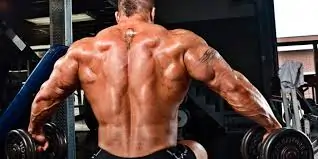 Exercise for Erector Spinae