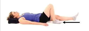 Leg Slides