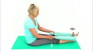 Seated Hamstring Stretch