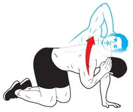 Thoracic spine rotation