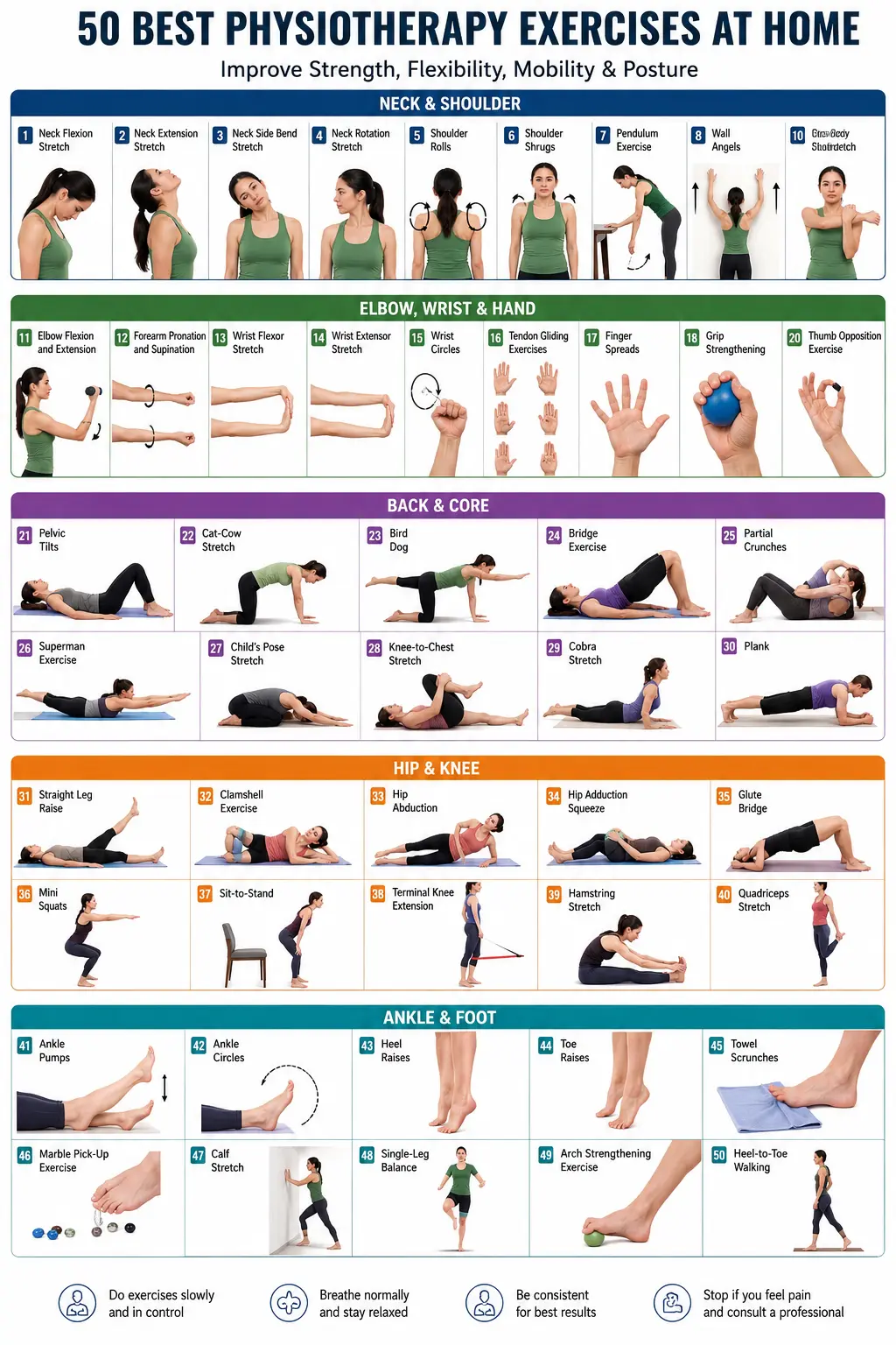 50 best physiotherapy exercises