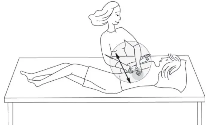 Left Lower Side Back Chest Lower Lobe